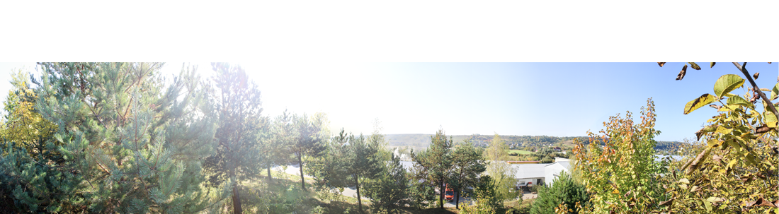 CONTACTS_PROFITM_WEB_13