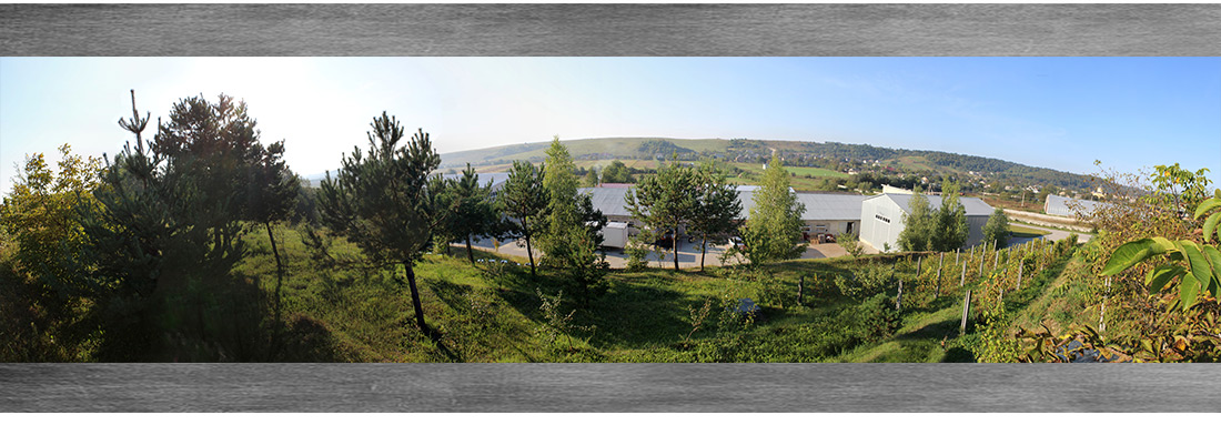 Контакти Profitm_3